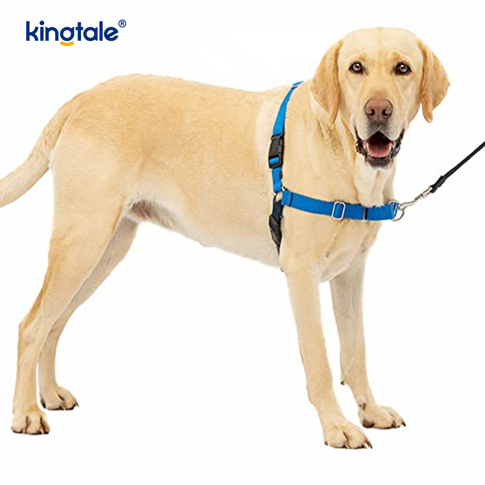 No-Pull Dog Harness Help Stop Pulling Take Control & Teach Leash Manners